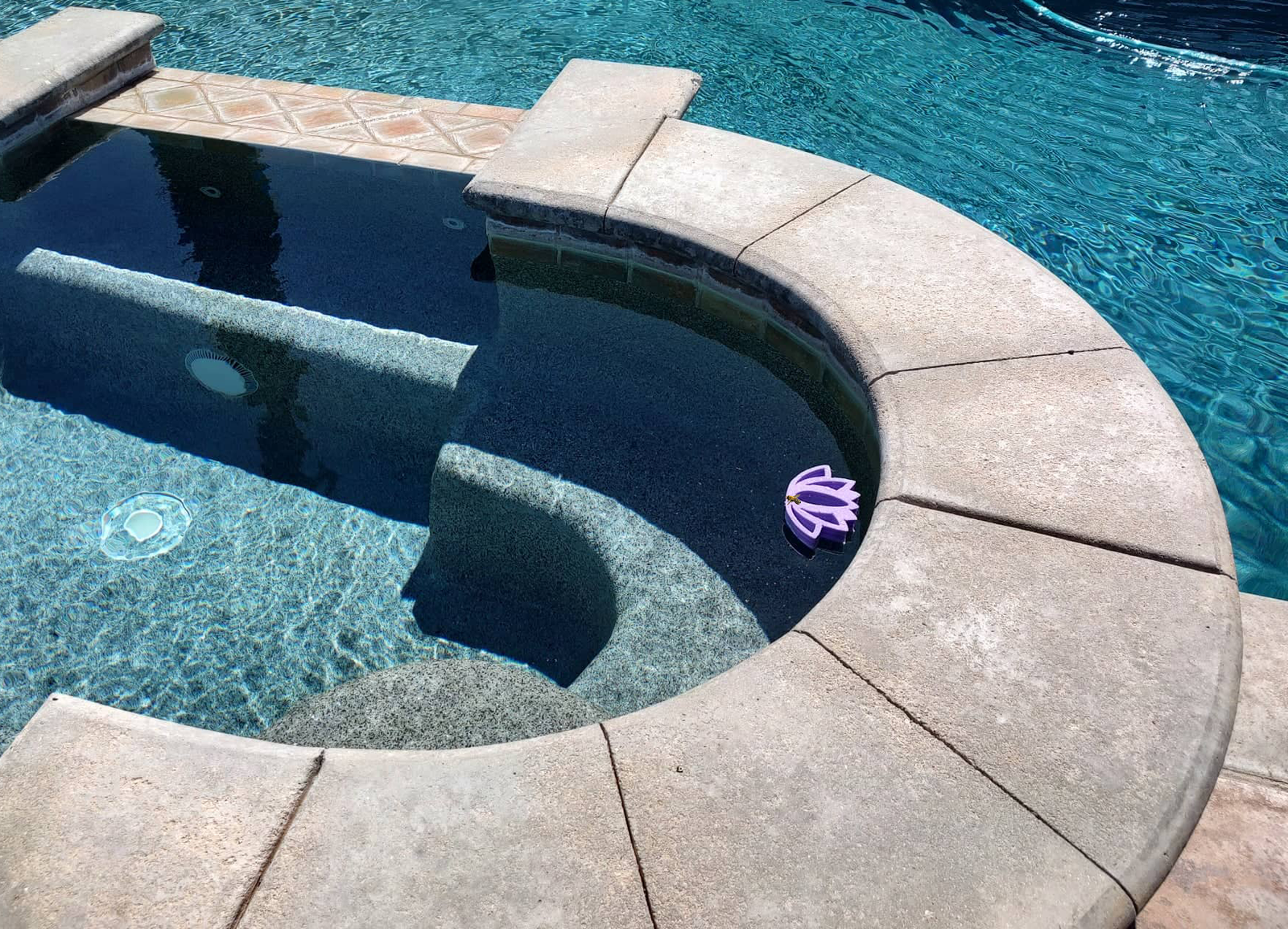 Lotus Flower Bee Raft – A Beautiful Oasis for Bees - Image 9