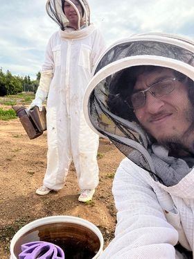 Lotus Flower Bee Raft – A Beautiful Oasis for Bees - Image 3