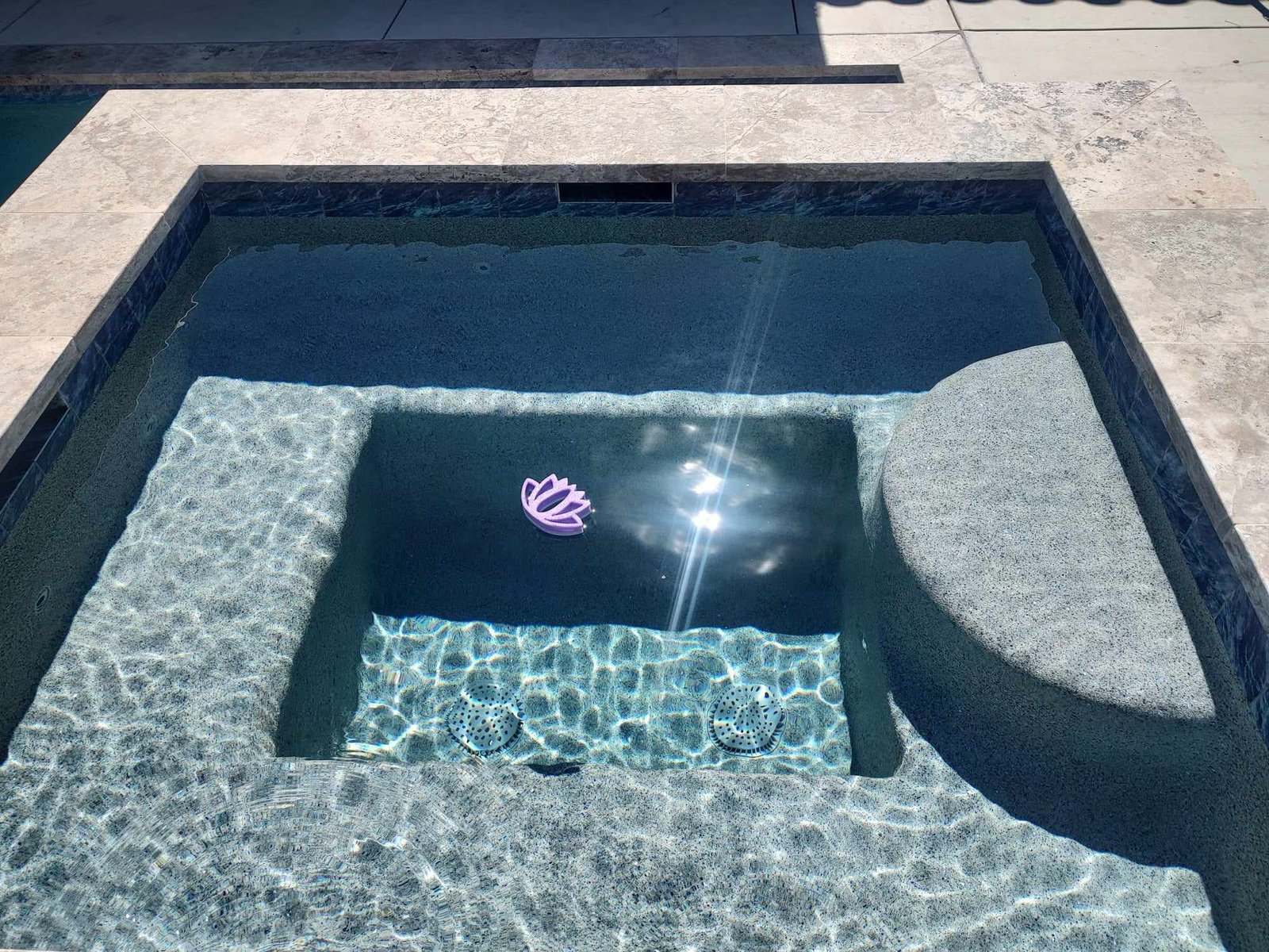 Lotus Flower Bee Raft – A Beautiful Oasis for Bees - Image 6