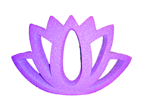 Lotus Flower Bee Raft – A Beautiful Oasis for Bees