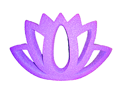 Lotus Flower Bee Raft – A Beautiful Oasis for Bees