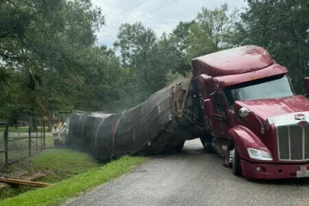 Semi-truck carrying beehives crashed in Texas after millions of bees escaped from damaged hives