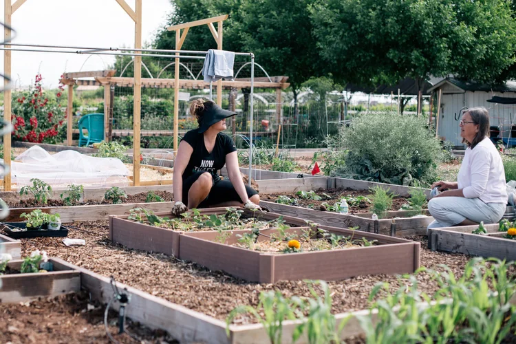 Two gardeners tending raised beds at Agritopia Farm in Gilbert, Arizona.