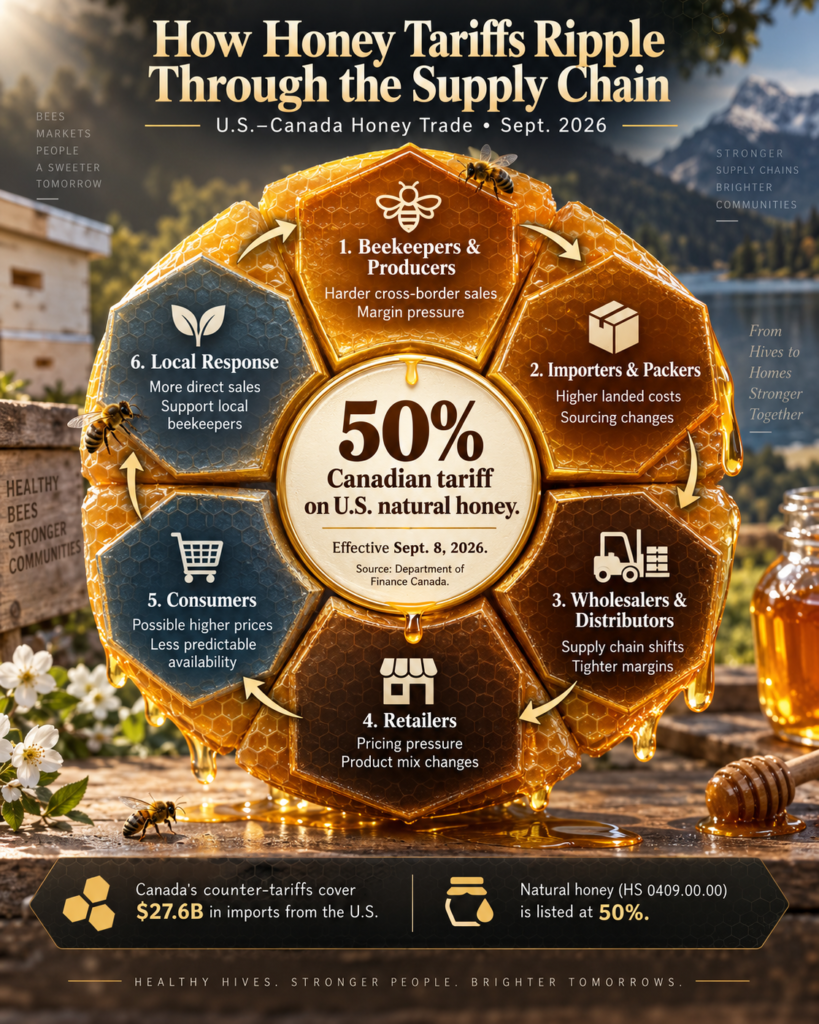 3D infographic showing how honey tariffs affect beekeepers, importers, distributors, retailers, and consumers